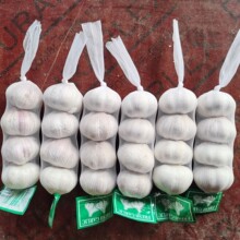 ȥƤ���|���xɽ�|�������l4.5-6.cm��Ƥ���^�GɫʳƷ���������