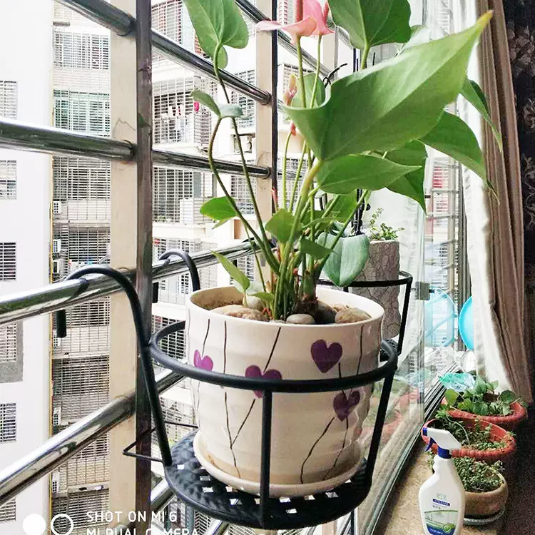 铁艺花架室内外客厅阳台多层置物架家用落地式加厚吊篮绿萝花盆架