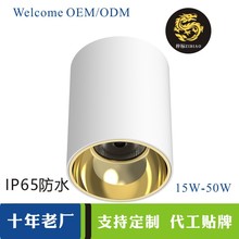 明装筒灯外壳套件防水射灯外壳led防水筒灯套件明装cob射灯15W