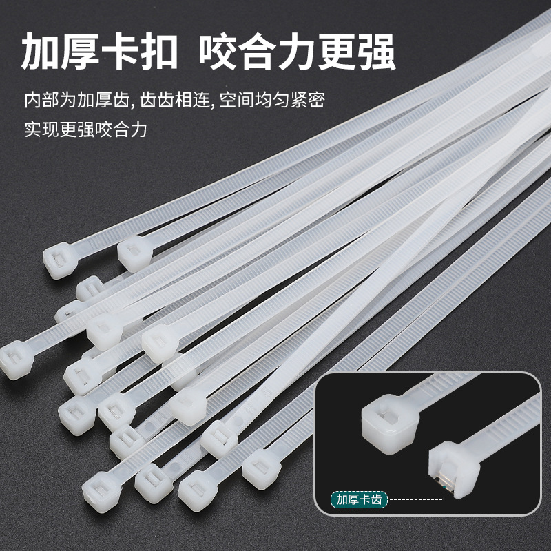 Cinturón de nylon auto-bloqueo resistente a altas y bajas temperaturas correa de amarre correa cor