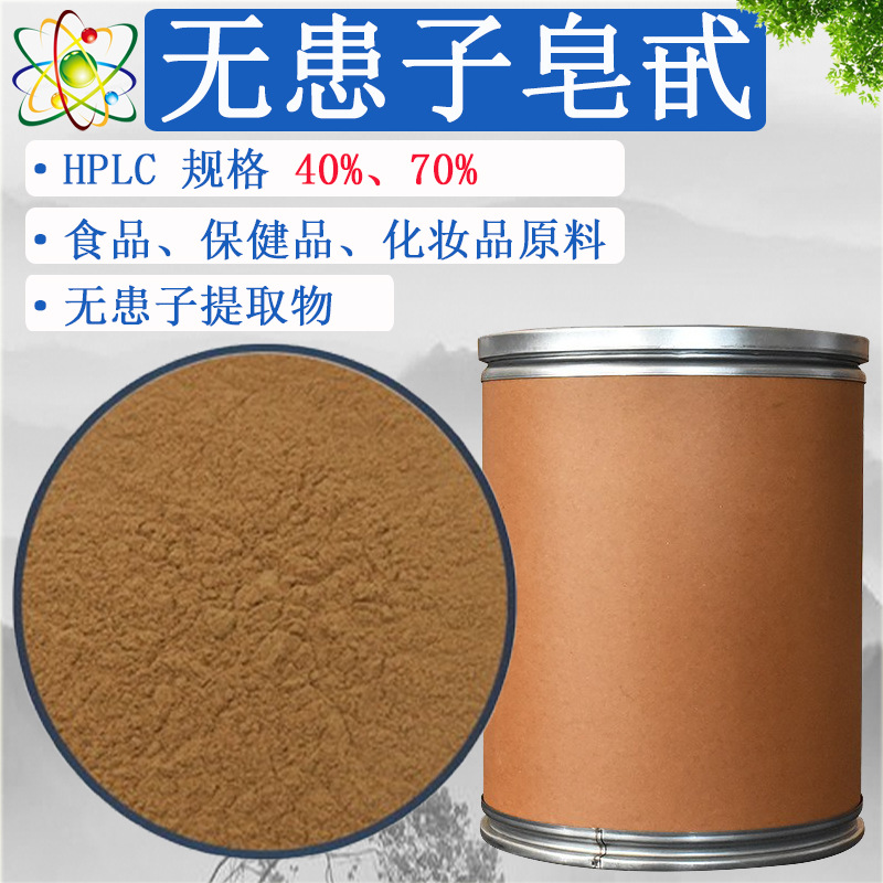 无患子皂苷40%-70%  源头工厂食品化妆品原料 无患子提取物1kg/袋