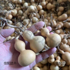 ヒョウタンの天然ヒョウタンの手を捻って遊んで文を飾ってメーカーの露店の小さいものを飾って家庭で使うことができます。