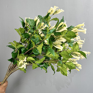 �ָб����̻��Ҿ��bƵ�ܛ�b��c���üٻ����TͥԺ���̻����Ȼ�