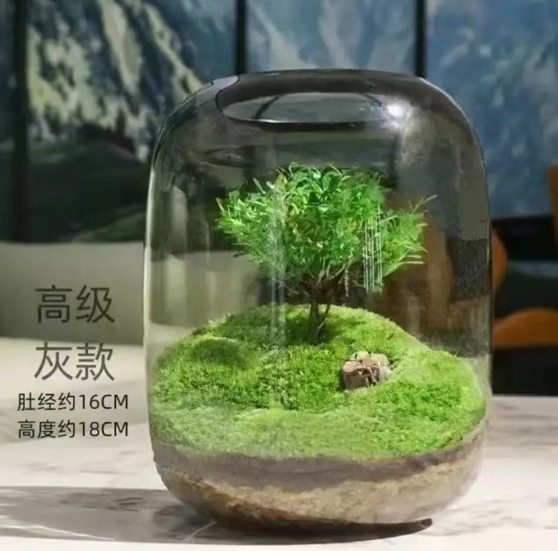 厂家直销生态水培植物瓶玻璃花瓶装饰微景观小鱼缸办公室桌面客厅|undefined