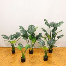 ԼҾӿ͏dbGֲ~辰bؔ[ٻ