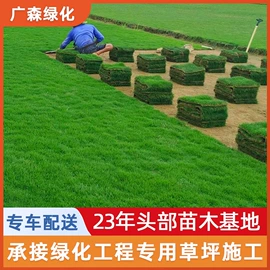 乔木;其他园林植物;灌木