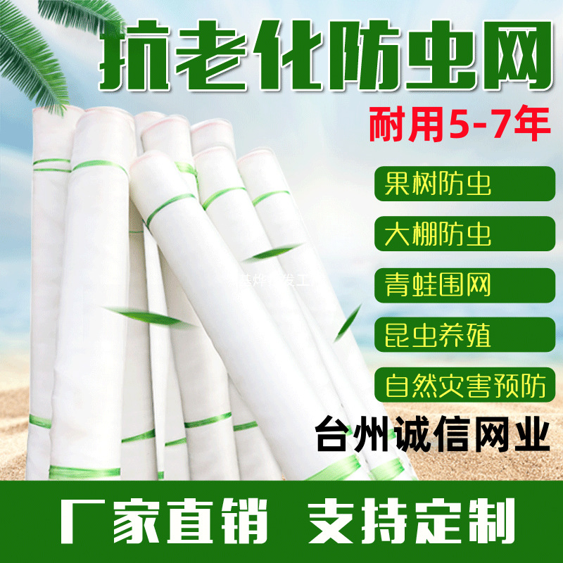 防虫网大棚果园猪场防蚊专用网莲雾网防鸟网全新聚乙烯20目养殖网