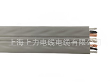 TVVBPG 26*0.75+2*2P*0.5+1*1.5+1CX75Sбƽ|