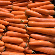 ���t�ߴ煢���}���N�� �r����S�a�ļ��߲��̨���}��������׷N