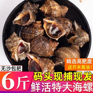 �����r���ش��r���������r��ݬF�l����ˮ�a���r��ȫ������S