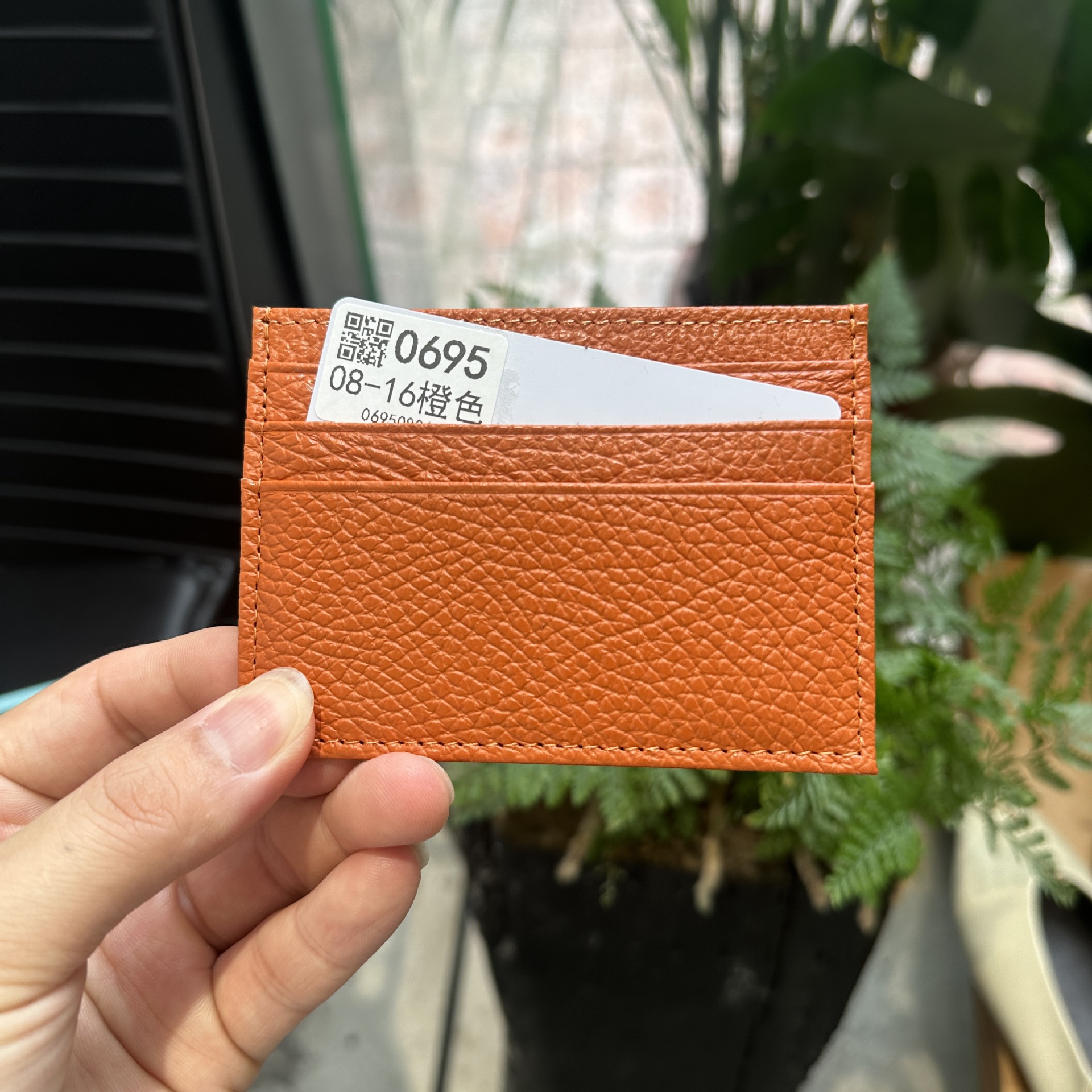 08-16 오렌지