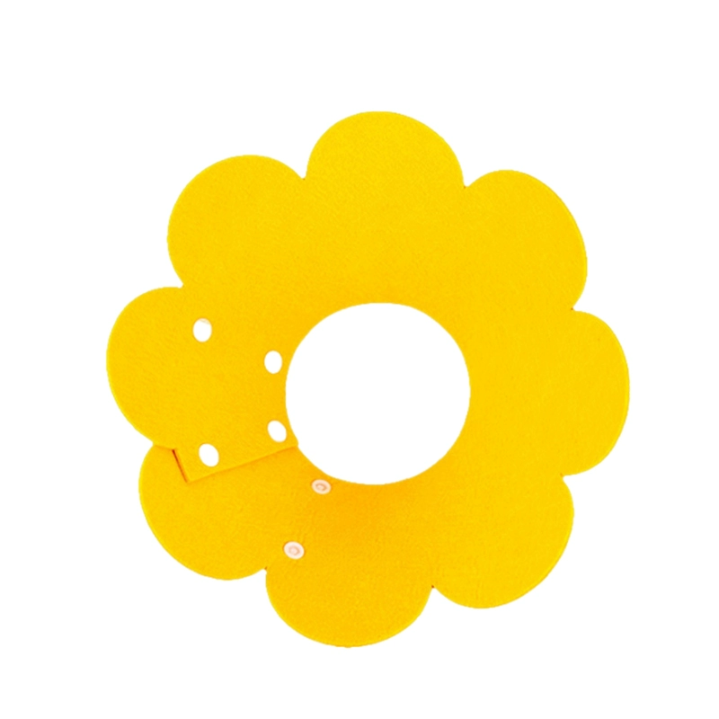 Elizabeth Circle Кошка ошейник стерилизация Elizabeth Circle