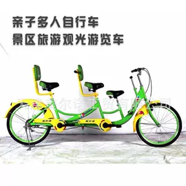 双人自行车;其他非机动车;自行车装饰