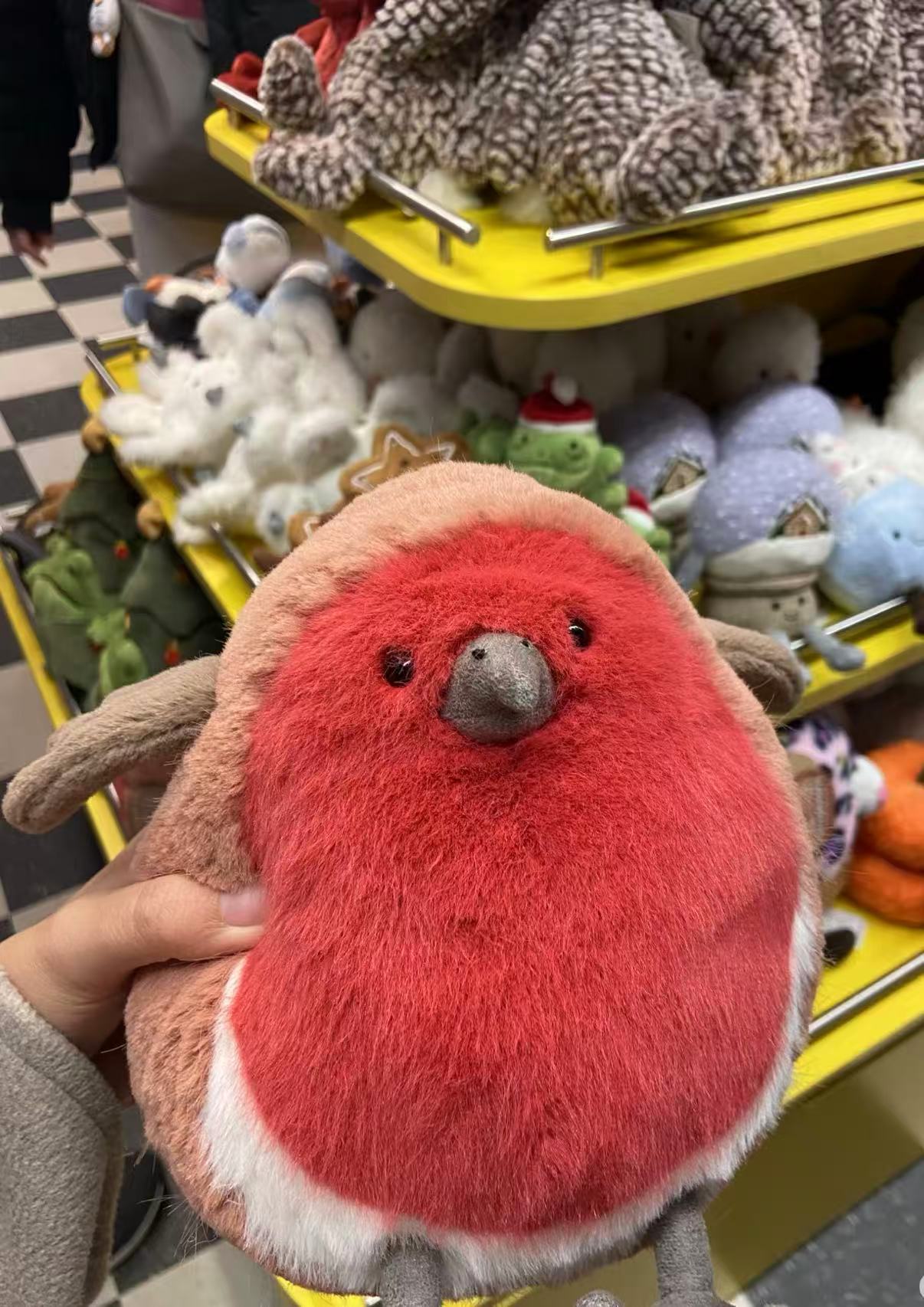 Red bird + dust bag