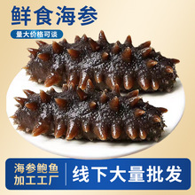 Դ^SֱIBrʳl̅rʳBʳl