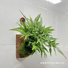 ���¹��ާ��ֲ���\�B��ާ��ɫ���m�t�~�zȔ�҃Ȓ��ֲ���ļ�����