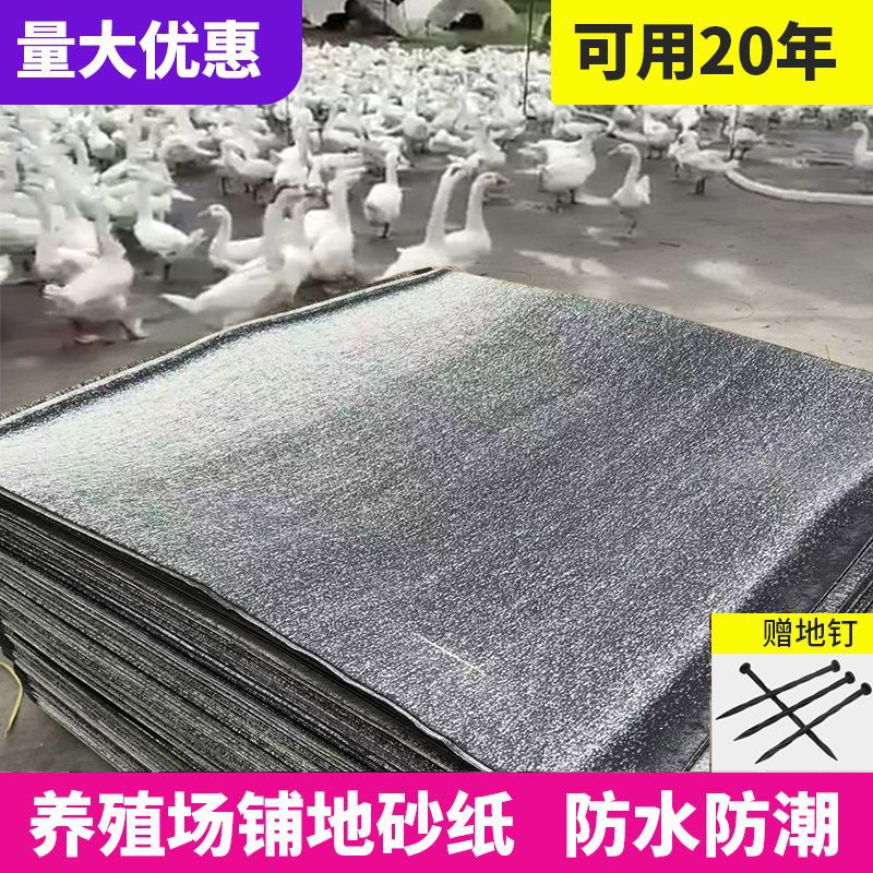 养殖砂纸铺地砂养鹅养鸭代替地面硬化鱼池铺地护坡斜坡专用砂纸鹅