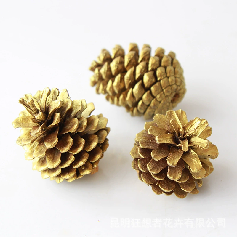 Dry Flower DIY Materials [Dry Fruit] Madman Sommelier Candle Plant Simagon Handmade Class Dry Flower Dry Branches Material