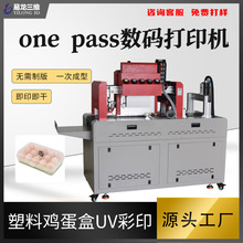 一次性塑料鸡蛋盒UV高速打印机设备PP收纳盒包装盒彩色数码印刷机