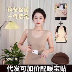 新しい秋冬の無痕の徳の絨毯の保温のベストの女性は双兜を持って腰を保護します。