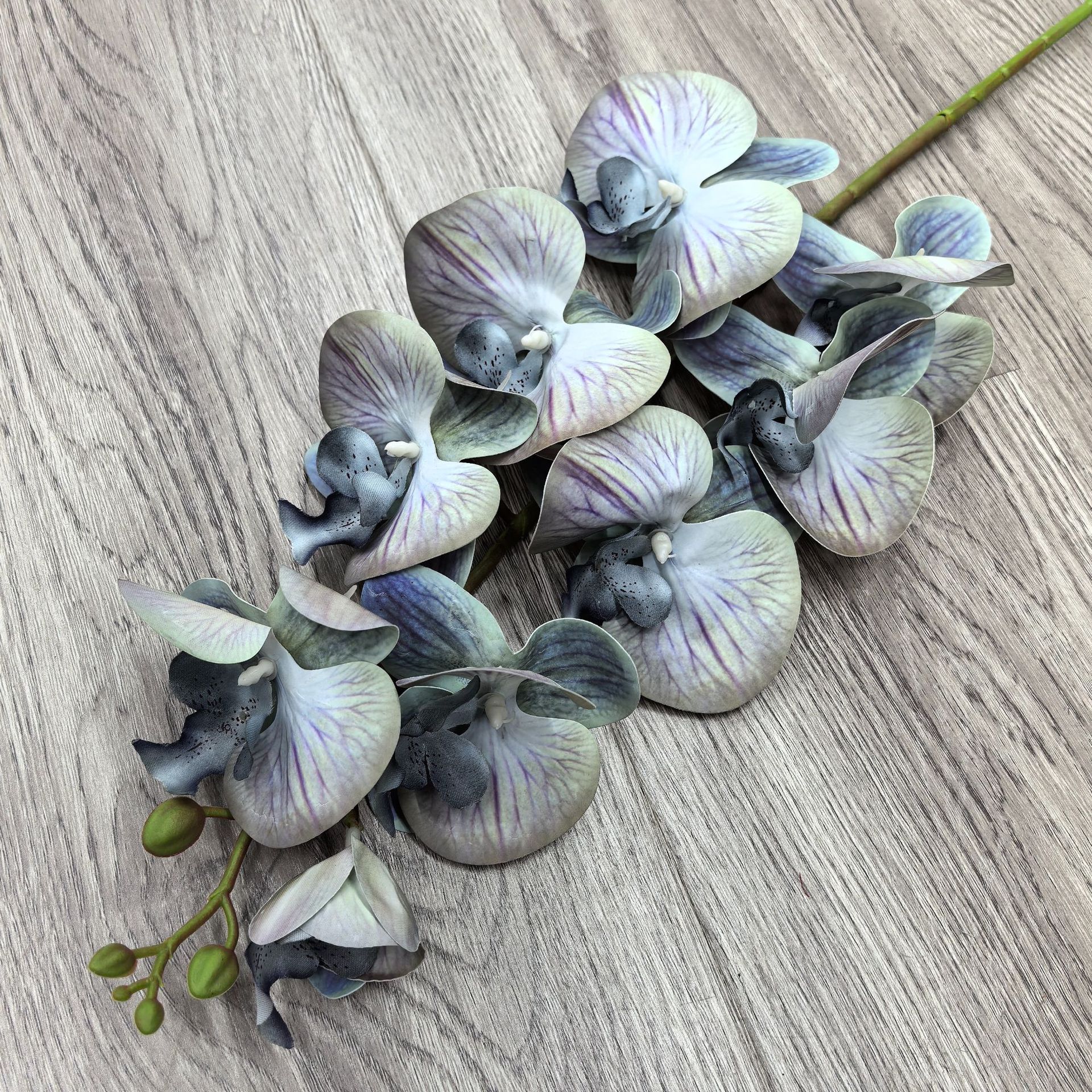 바다색