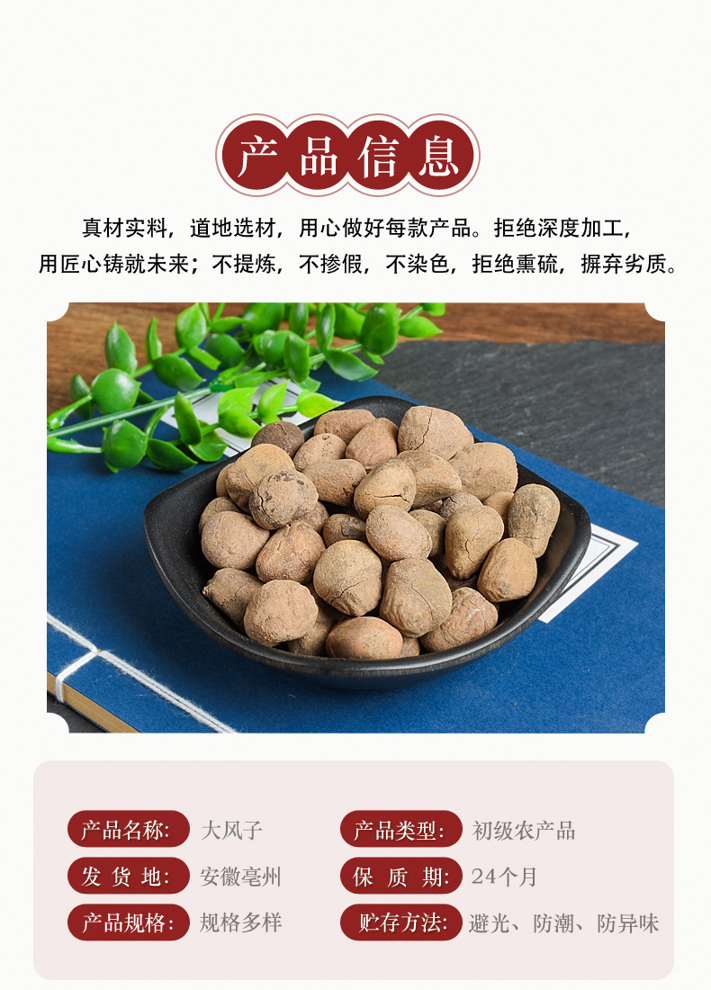 Da Feng Zi (Hydnocarpus anthelminticus) — Dried Chaulmoogra Seeds, Raw Herb Supply overview