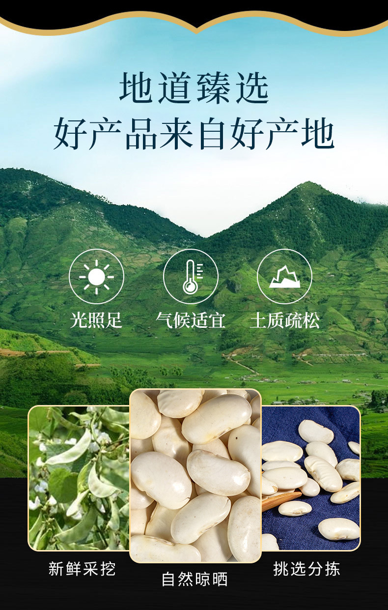 White Kidney Beans (Phaseolus vulgaris) — Dried Food Herb & Five-Grain Pantry Staple, 500g overview