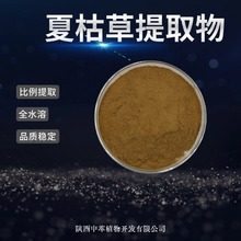 夏枯草提取物比例水溶夏枯草粉中萃现货可混配可制粒夏枯草提取物
