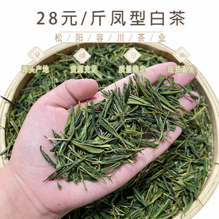 2025�²谲����ˇ�㽭�P�Ͱײ�ë��G���~�Լ���ɢ�b���l�a��؛Դ