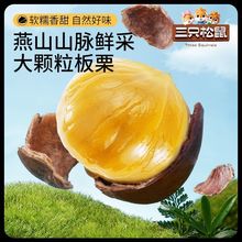 三只松鼠有机甘栗仁500g箱休闲零食低脂肪板栗仁无壳坚果包装小吃