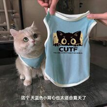è���ļ������˿���ķ���ëСèè�·�͸�������ɰ���è�������