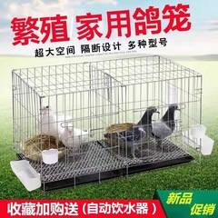 ハトのペアケージの大きいサイズの家庭用ベルトの仕切り付きの繁殖ハト籠の家庭用ハト籠の家庭用ハト籠のオウムの八兄の鳥かご