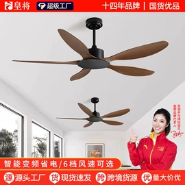 风扇灯;电风扇;吊扇