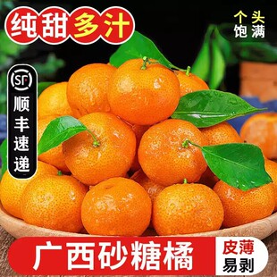 ���ڏV��ɰ���ّ���ˮ���۽�ɳ�ǽۼ������ӱ�Ƥ��֭������S���]