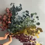 链接定制家居跨境永生花