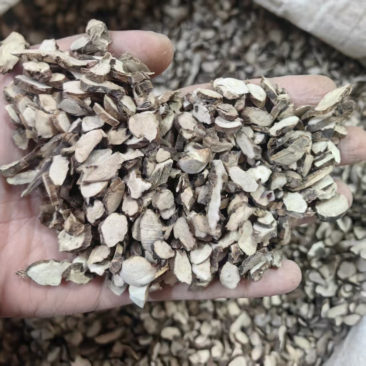 Shi Chang Pu Grassleaf Sweetflag Powder 500g Dried Acorus Tatarinowii Rhizome for Traditional Herbal Use quality and texture