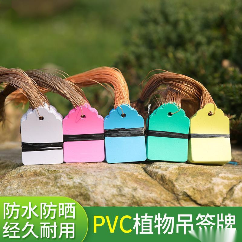 PVC100张实验小挂牌绿植防水吊签标牌花卉园艺苗木吊牌兰花防