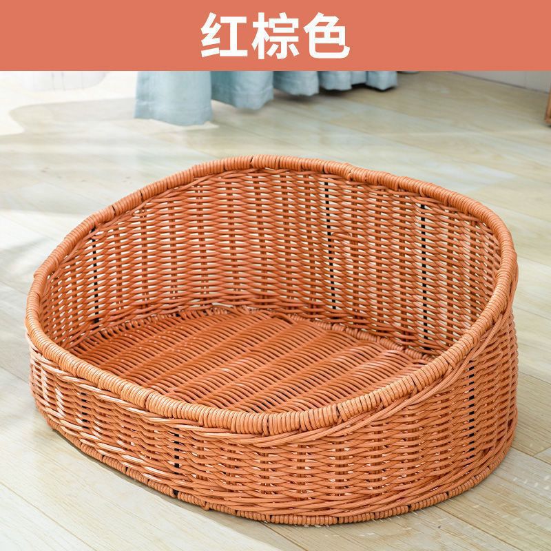 타원형의 적갈색 공