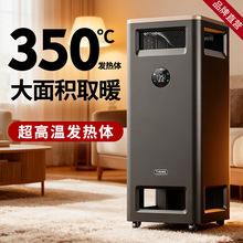 TINMEȡů2025¿ůLCʯīϩȫݴeů