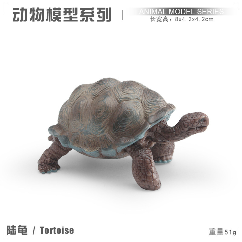 Simulación tortuga sólida Galápagos elefante tortuga juguetes marino mundo tortuga modelo de animal amazona