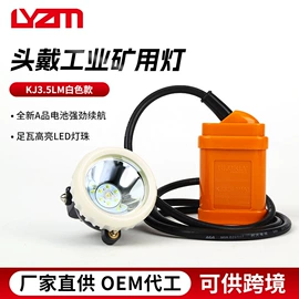 工矿灯;头灯头戴电筒;电池充电器