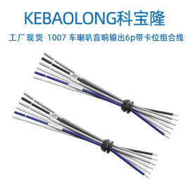 批发汽车喇叭音响输出6p带卡位组合线1007 18AWG车载音箱连接线束