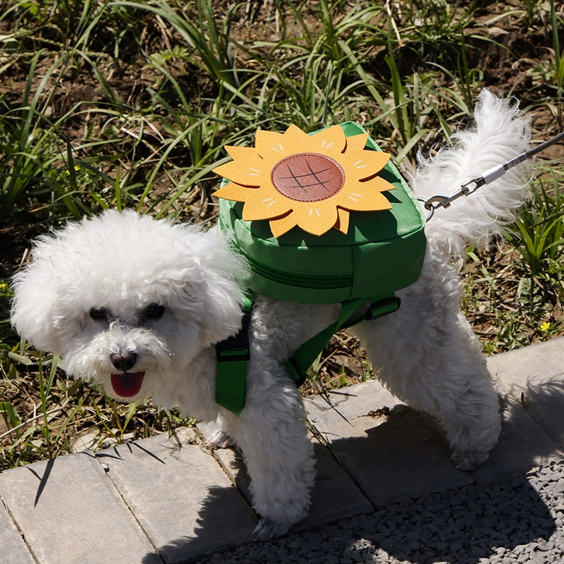 Домашние животные новые сумки Домашние животные выходят на улицу