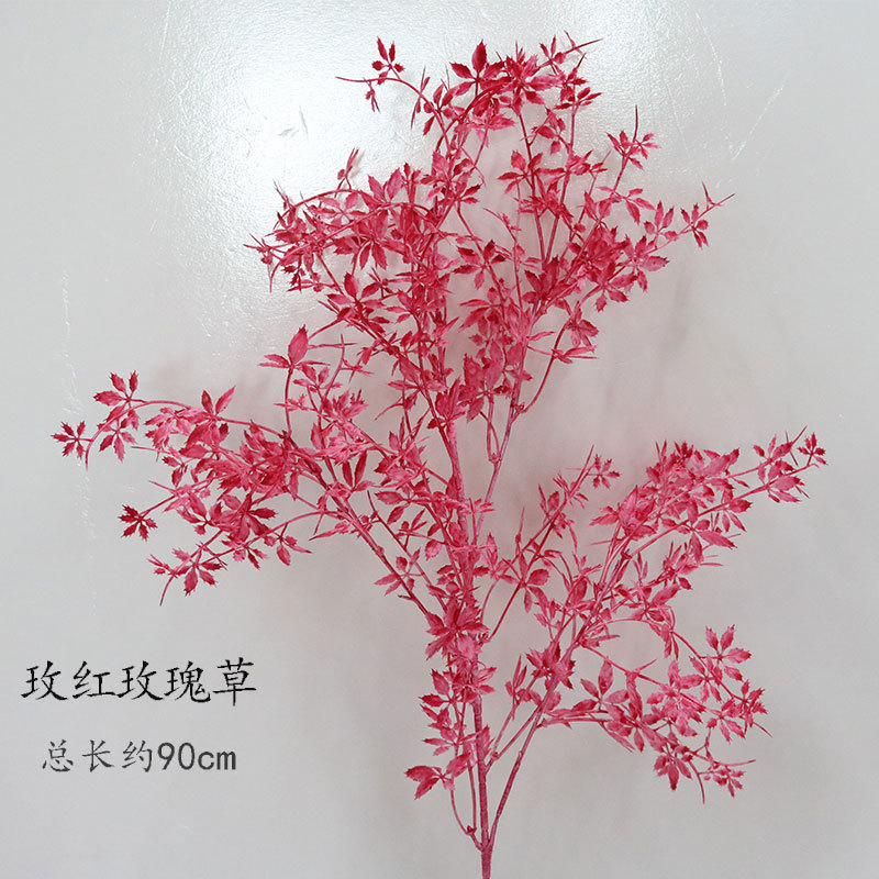 Rosa roja Rosa hierba