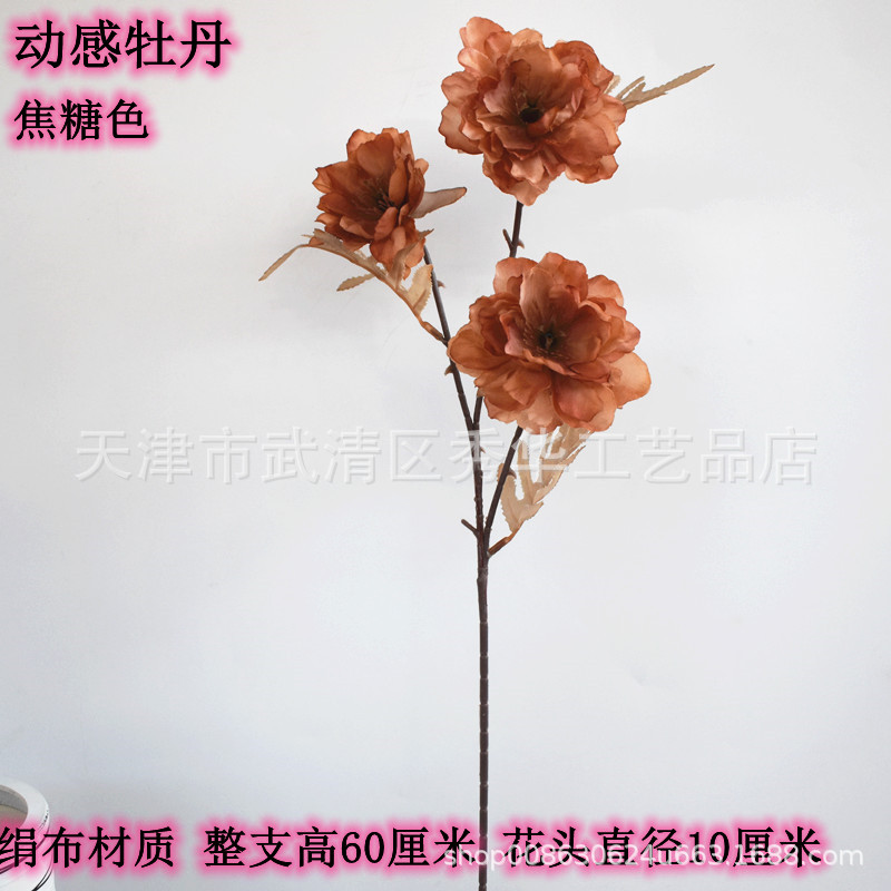 3 의 머리 실버 로터스 다크 브라운