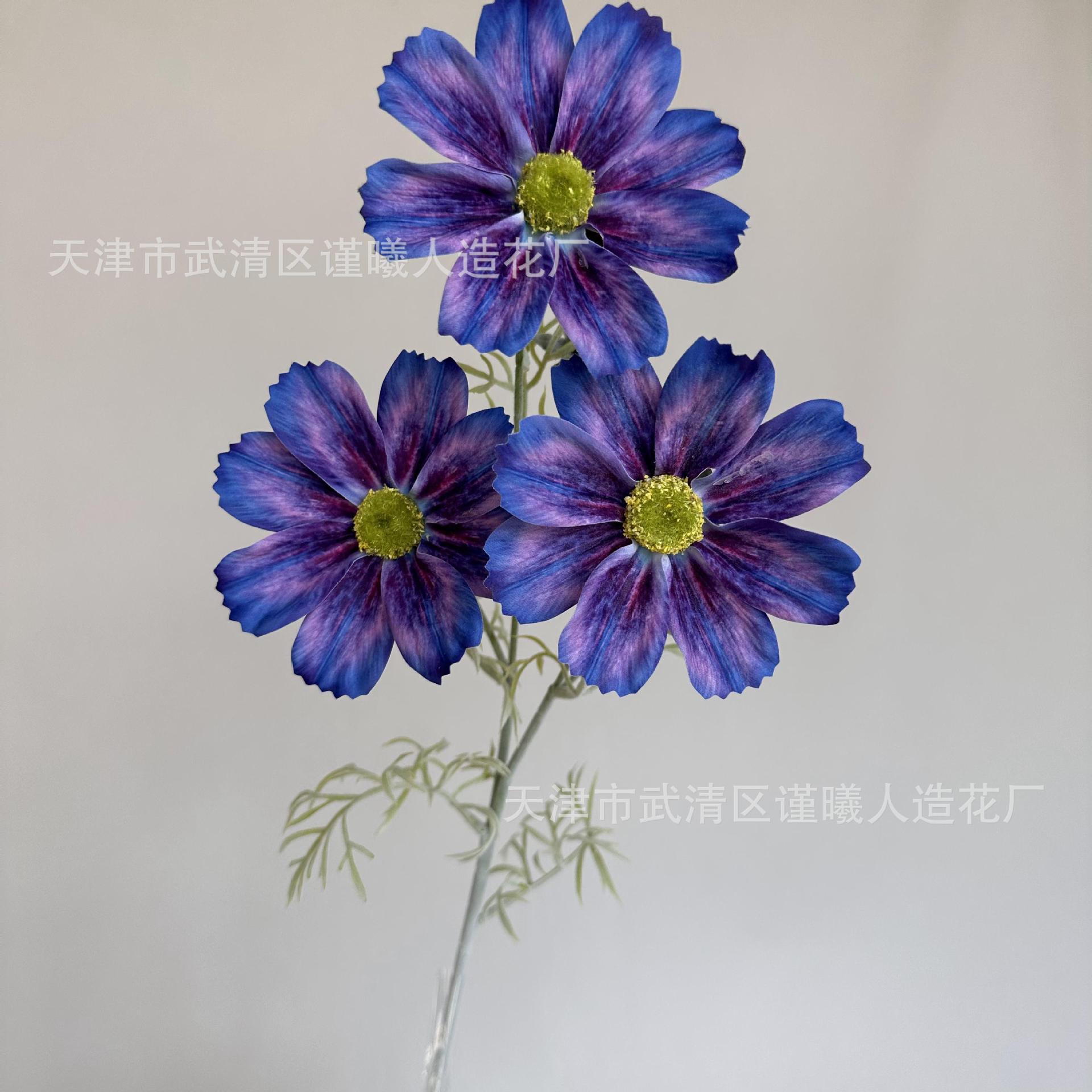 3D 게상 블루 퍼플
