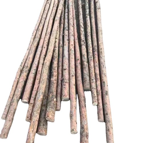 Pine tree poles, larch pine piles, logs, garden decoration, river piling support poles, engineering construction materials