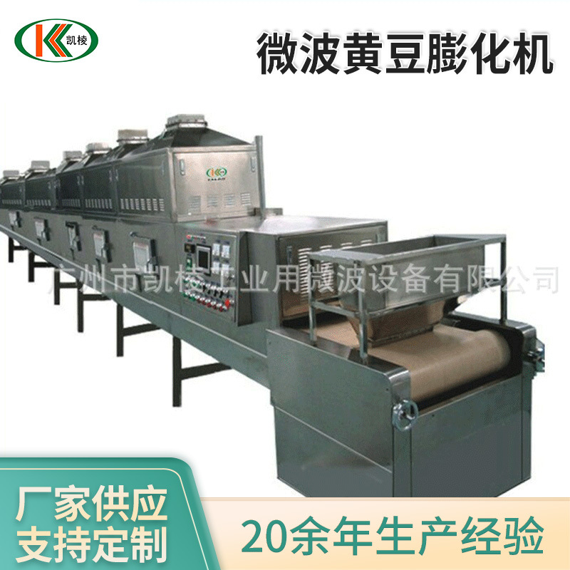 KL-2D-20GS微波黄豆膨化机 微波熟化设备 膨化机 微波设备厂家