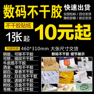 �ߙn�����z����ţƤ����PP��ˮ��ט˺�����͸�����yLOGO���zӡˢ