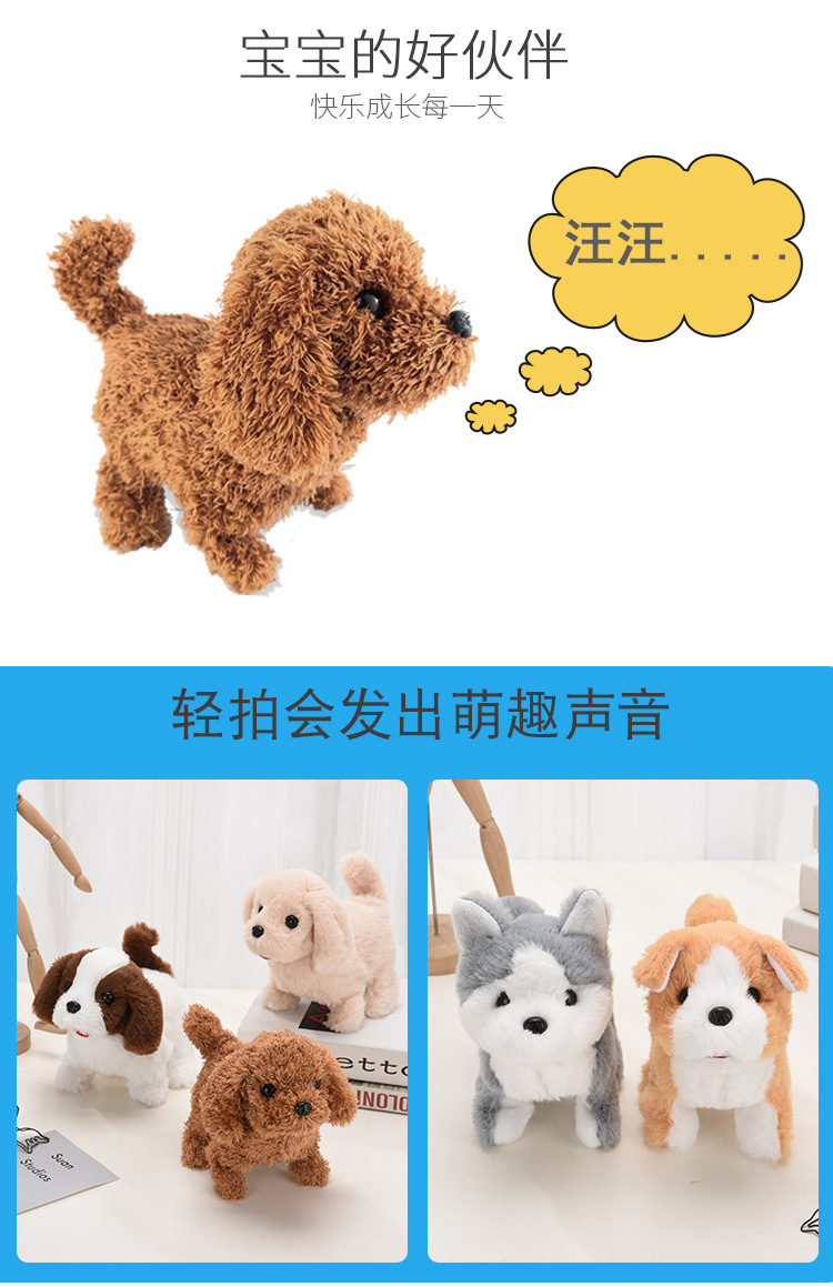 泰迪金毛哈士奇柯基小狗详情页_03